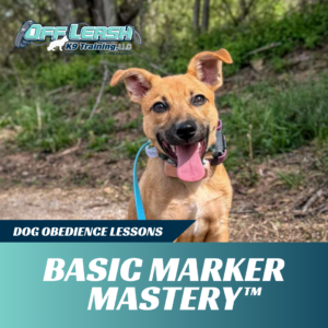 basic-marker-mastery-west-virginia