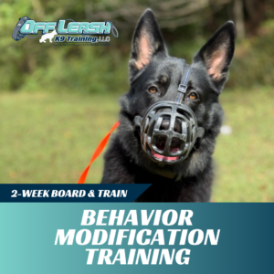 2-Week Board & Train: Behavior Modification Training