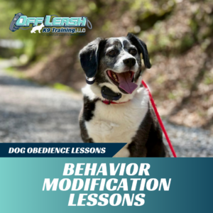 behavior-modification-lessons-west-virginia