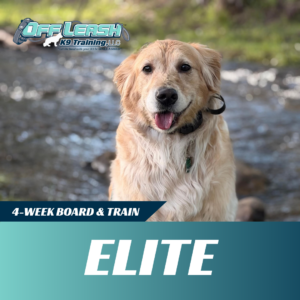 elite-board-and-train-west-virginia
