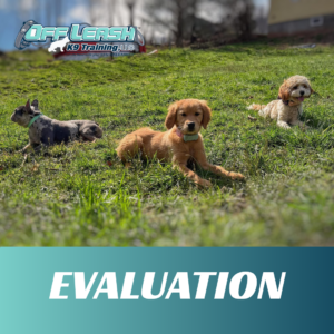 evaluation-west-virginia