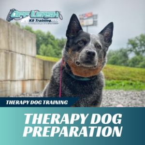 therapy-dog-preparation-west-virginia
