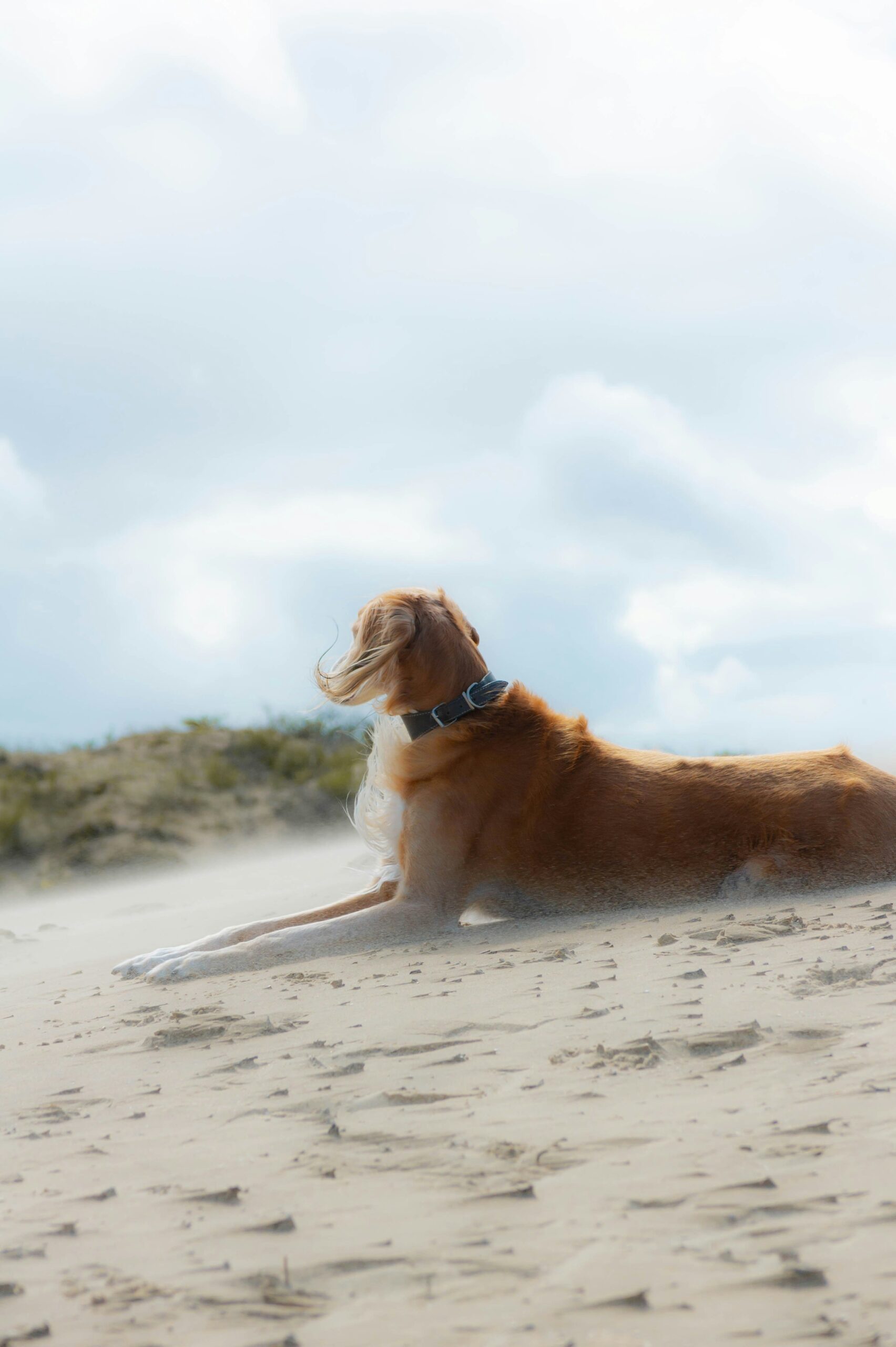 Beat the Heat: Signs of Overheating and How to Prevent It