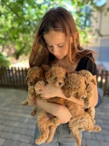Training Tips for Families With Kids and Dogs