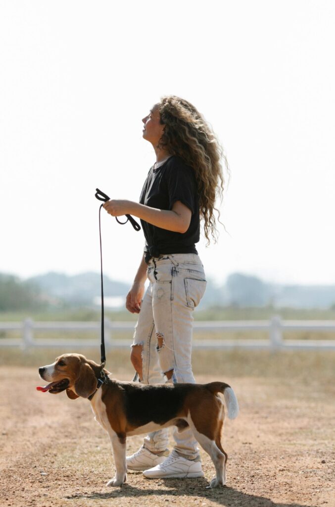 Mastering Loose Leash Walking Before Fall Adventures Begin