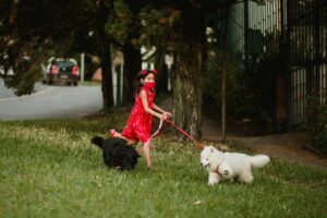 Training Tips for Families With Kids and Dogs
