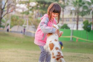 Dog Parks vs. Structured Play: What’s Better for Training?